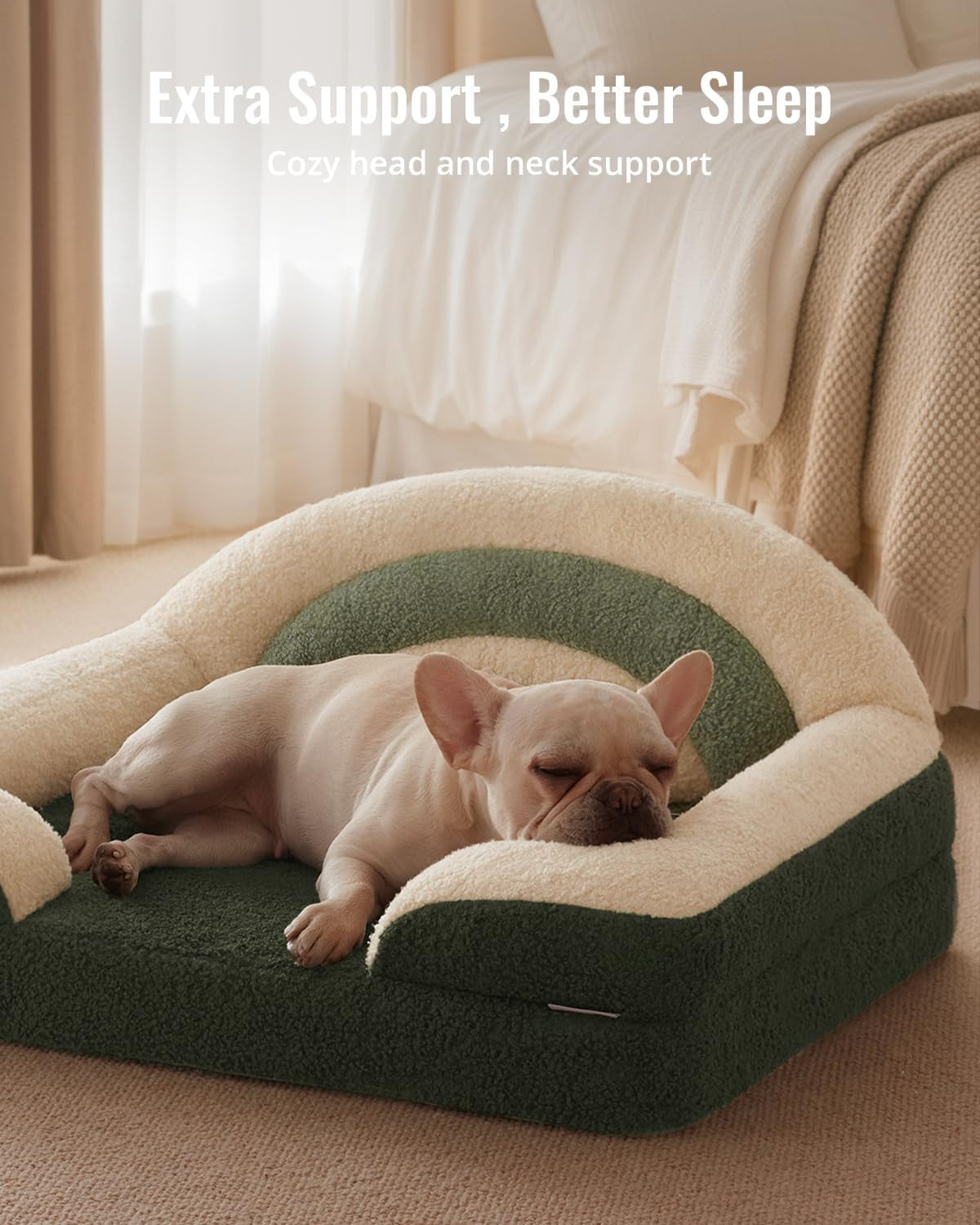 Foam Dog Bed Medium Size, Pet Sofa with Washable Cover and Waterproof Liner, Soft Teddy Plush with Rainbow Design (Green)