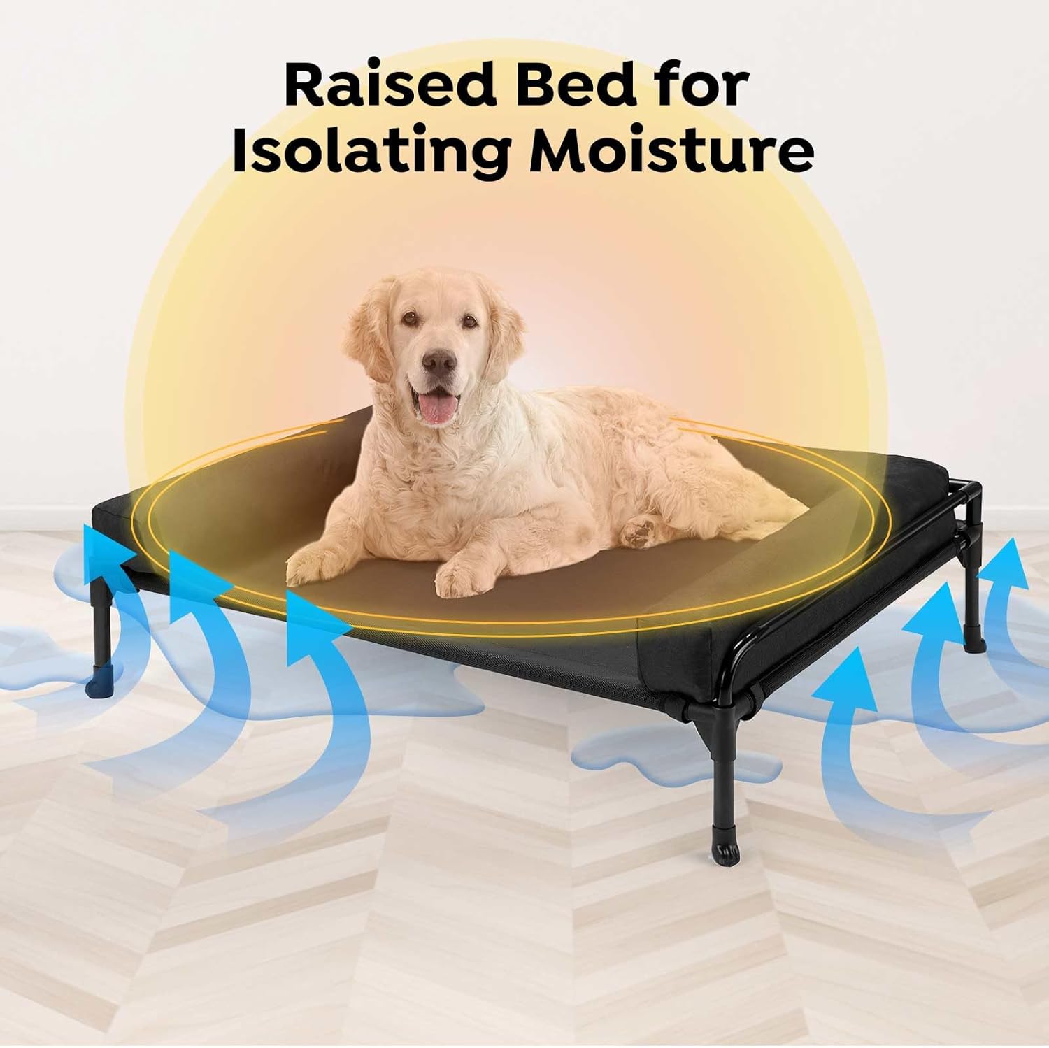 Elevated Raised Dog Bed-Cooling Outdoor for Large Sized Dogs