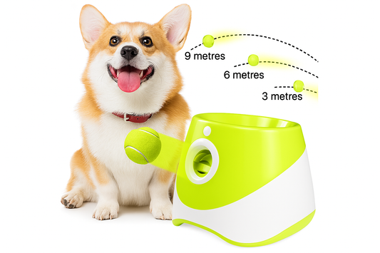 Automatic Ball Launcher for Pets