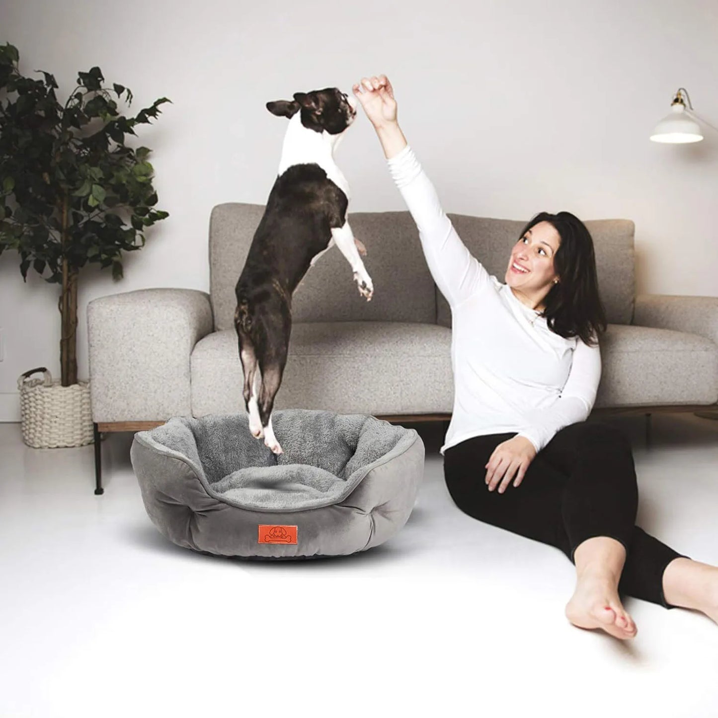 WaggZilla Couchy Pet Bed
