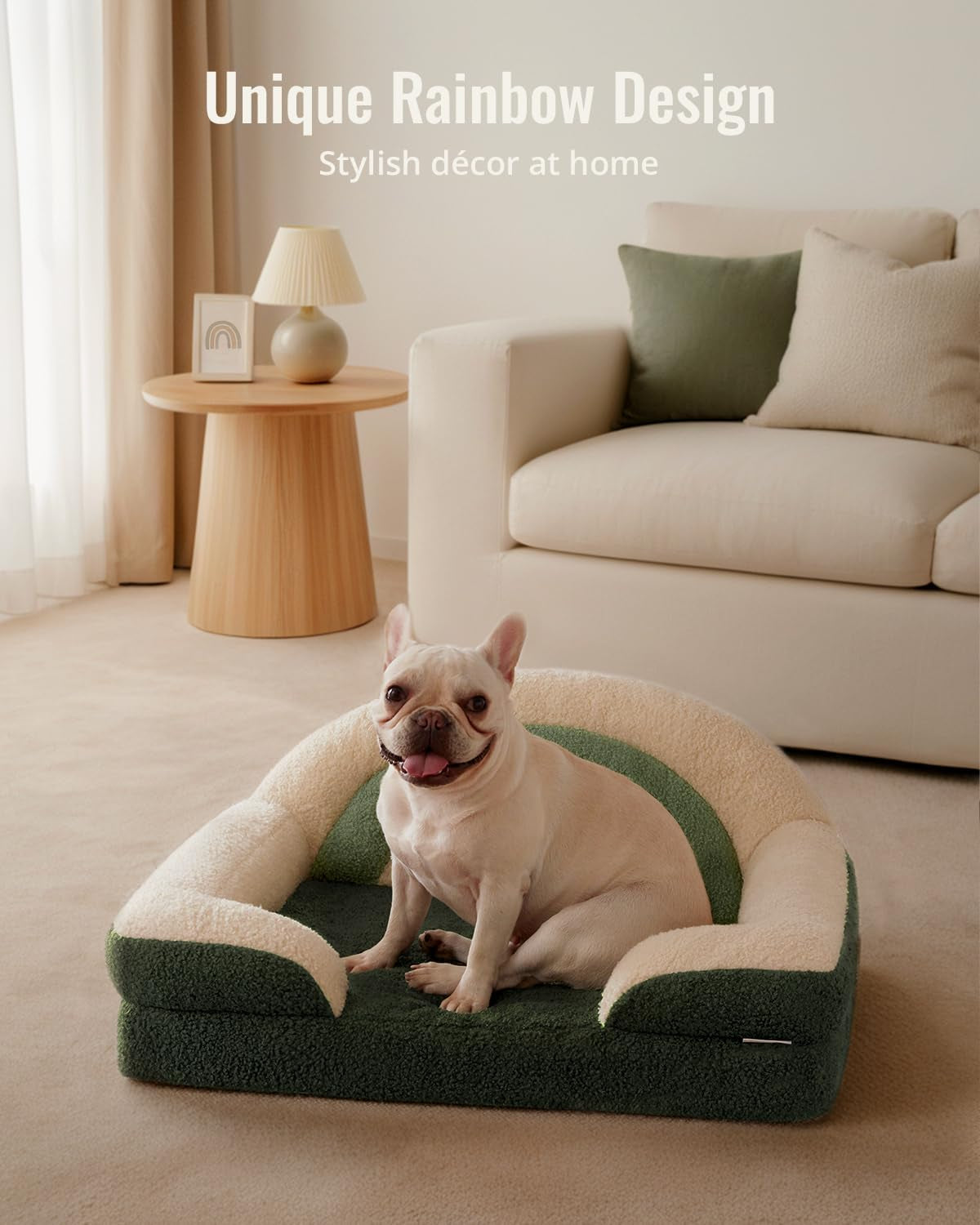 Foam Dog Bed Medium Size, Pet Sofa with Washable Cover and Waterproof Liner, Soft Teddy Plush with Rainbow Design (Green)