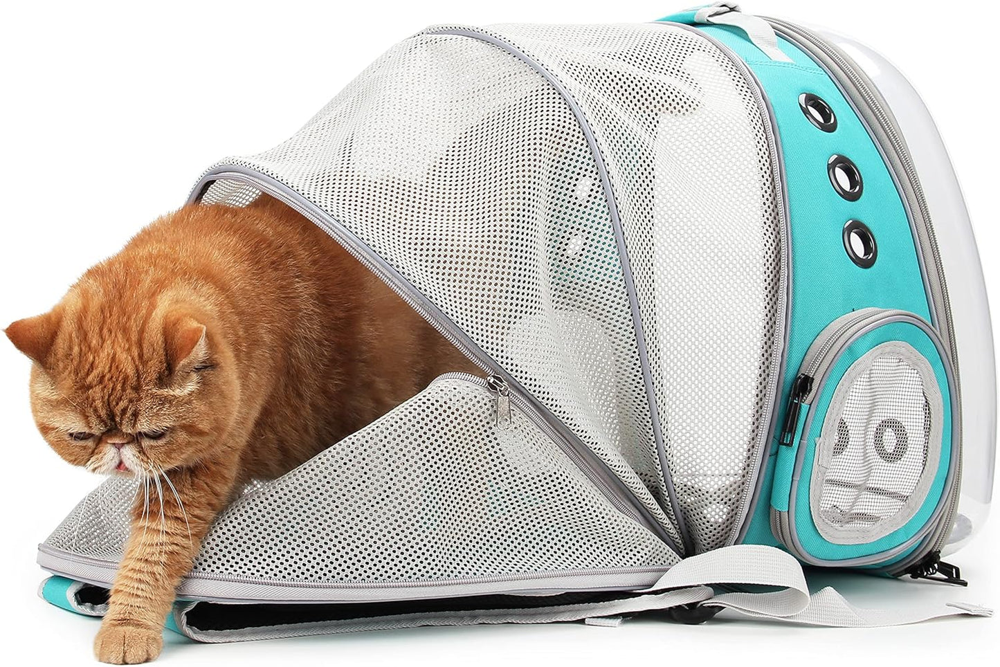 Cat Carrier Backpack, Bubble Expandable Backpack Carrier, Pets and Small Dogs,Airline-Approved, Designed for Travel, Hiking, Walking & Outdoor Use (Back Expandable-Green)
