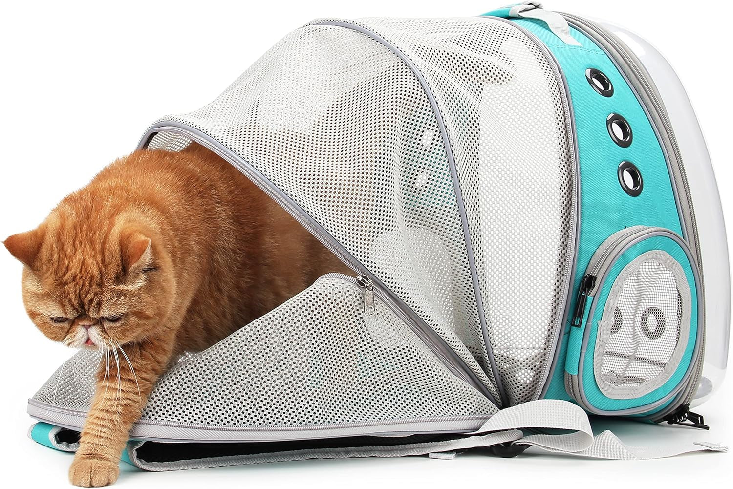 Cat Carrier Backpack, Bubble Expandable Backpack Carrier, Pets and Small Dogs,Airline-Approved, Designed for Travel, Hiking, Walking & Outdoor Use (Back Expandable-Green)