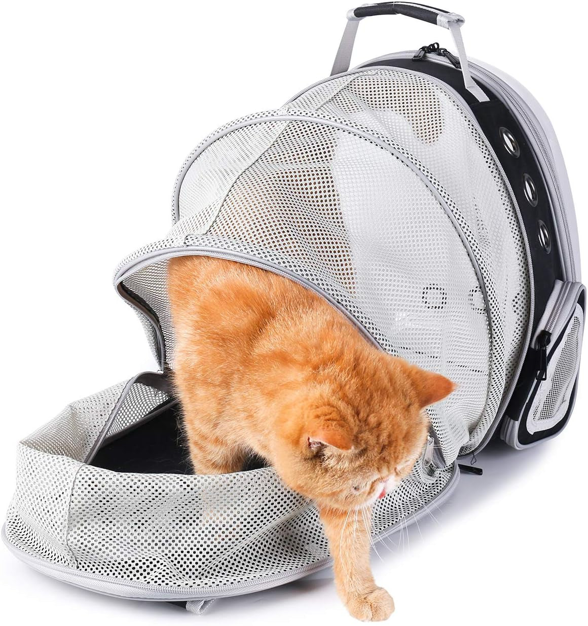 Cat Carrier Backpack, Bubble Expandable Backpack Carrier, Pets and Small Dogs,Airline-Approved, Designed for Travel, Hiking, Walking & Outdoor Use (Back Expandable-Black)