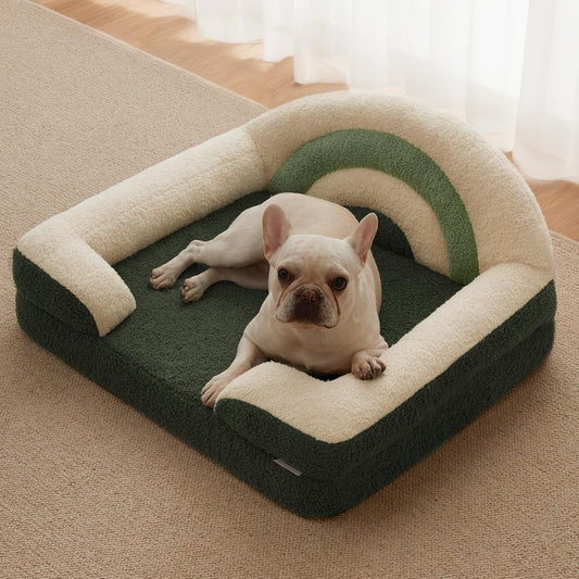 Foam Dog Bed Medium Size, Pet Sofa with Washable Cover and Waterproof Liner, Soft Teddy Plush with Rainbow Design (Green)