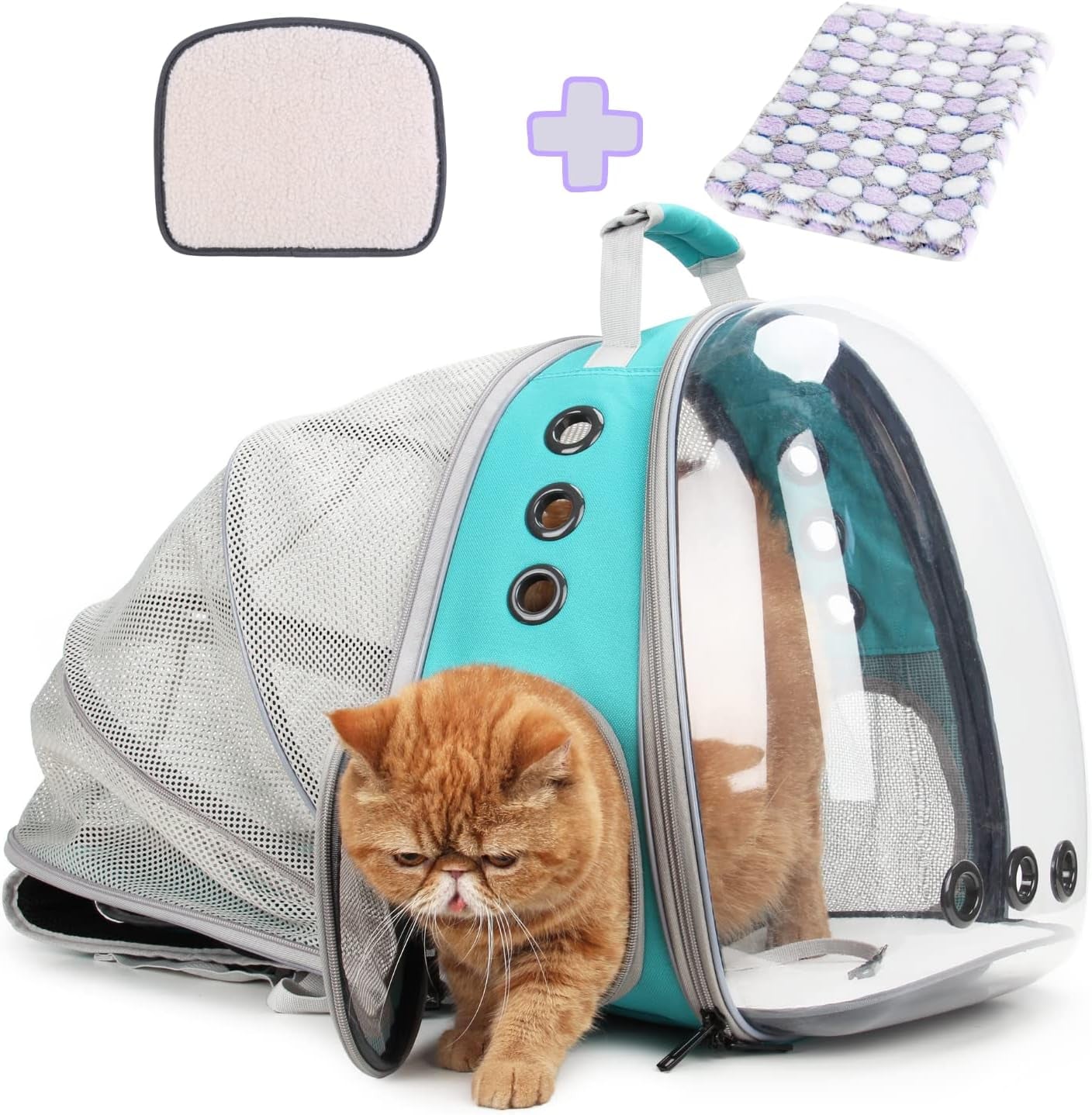 Cat Carrier Backpack, Bubble Expandable Backpack Carrier, Pets and Small Dogs,Airline-Approved, Designed for Travel, Hiking, Walking & Outdoor Use (Back Expandable-Green)
