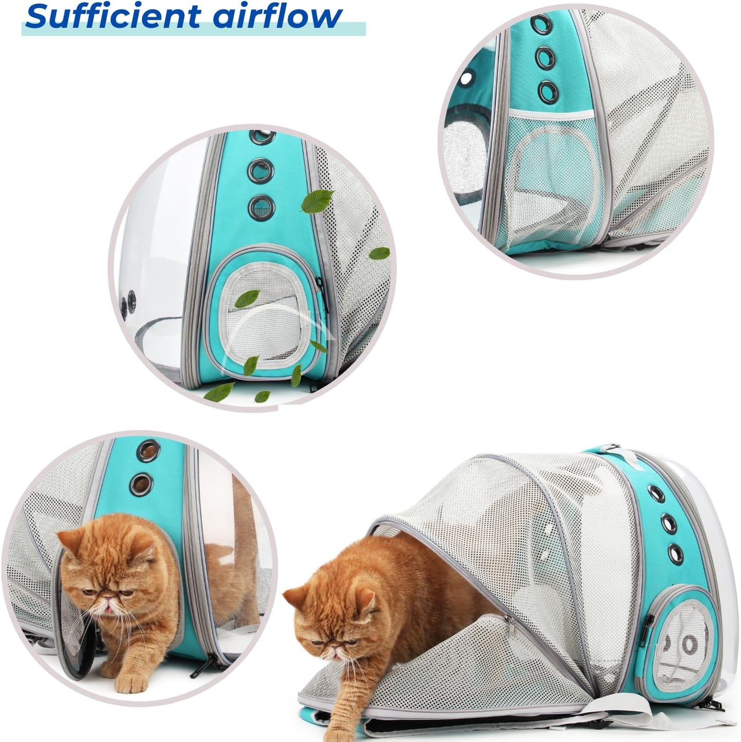 Cat Carrier Backpack, Bubble Expandable Backpack Carrier, Pets and Small Dogs,Airline-Approved, Designed for Travel, Hiking, Walking & Outdoor Use (Back Expandable-Green)