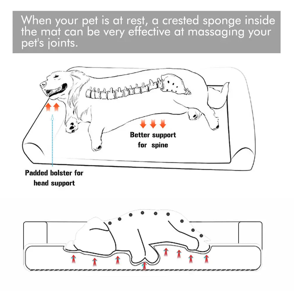 Ultimate Large Cuddle Bed for Pet & Owner