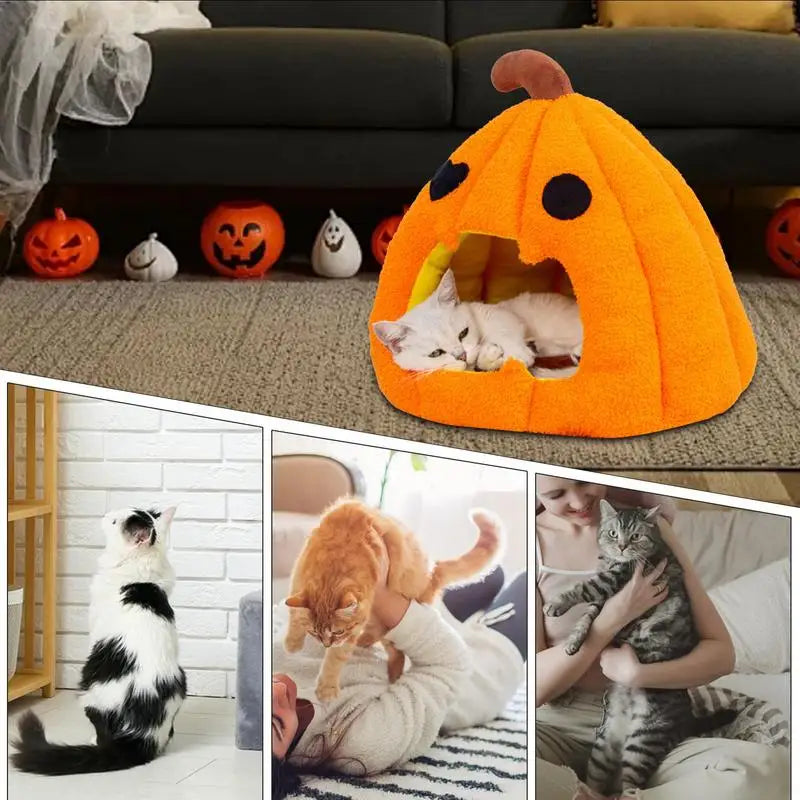WaggZilla Pumpkin Cat Bed
