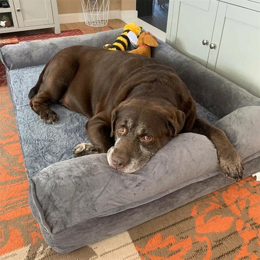 Ultimate Large Cuddle Bed for Pet & Owner