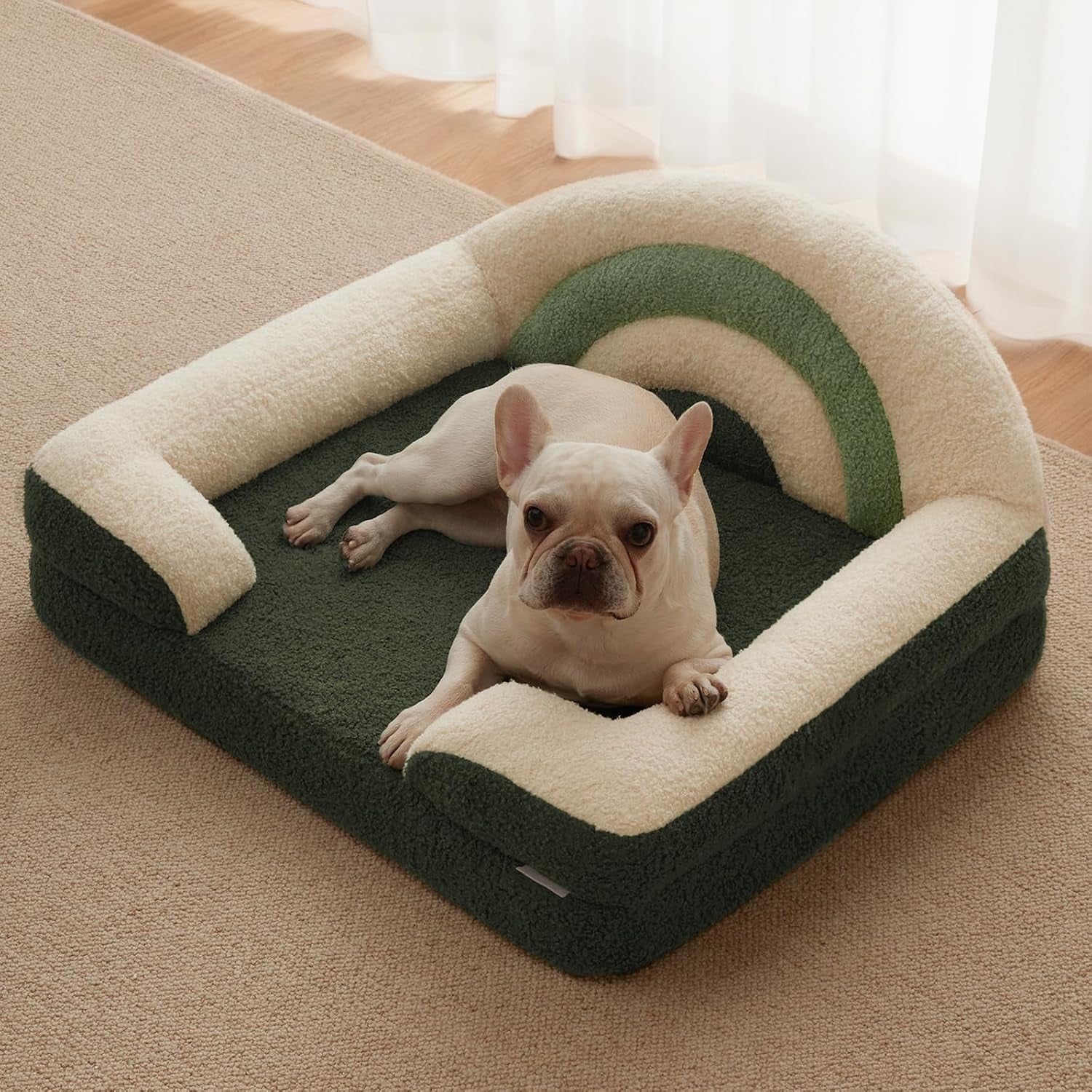 Foam Dog Bed Medium Size, Pet Sofa with Washable Cover and Waterproof Liner, Soft Teddy Plush with Rainbow Design (Green)