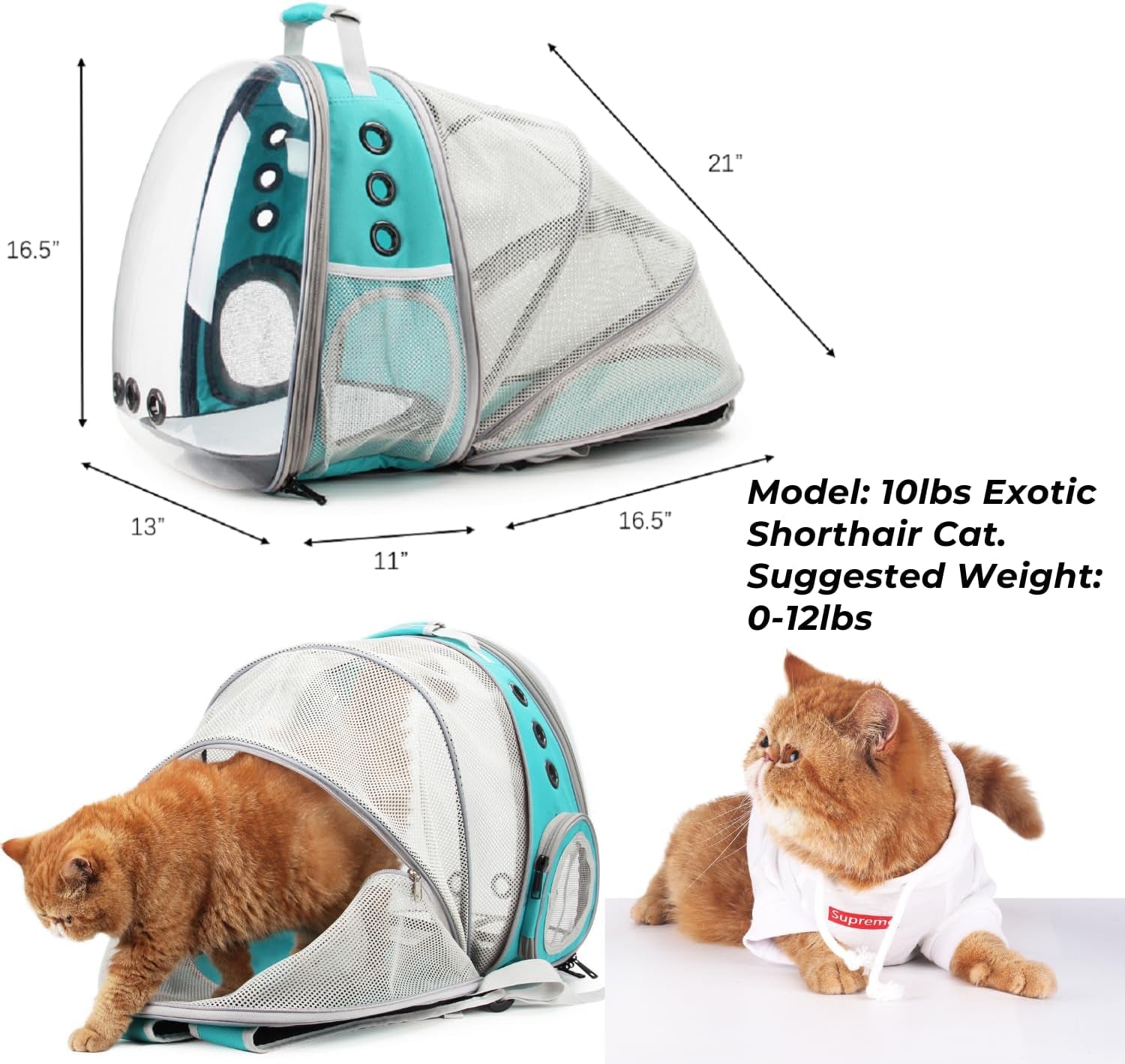 Cat Carrier Backpack, Bubble Expandable Backpack Carrier, Pets and Small Dogs,Airline-Approved, Designed for Travel, Hiking, Walking & Outdoor Use (Back Expandable-Green)