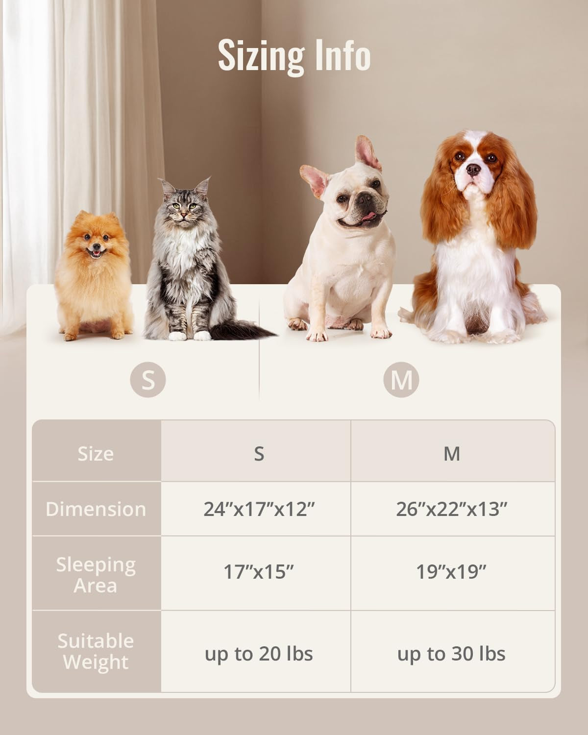 Foam Dog Bed Medium Size, Pet Sofa with Washable Cover and Waterproof Liner, Soft Teddy Plush with Rainbow Design (Green)